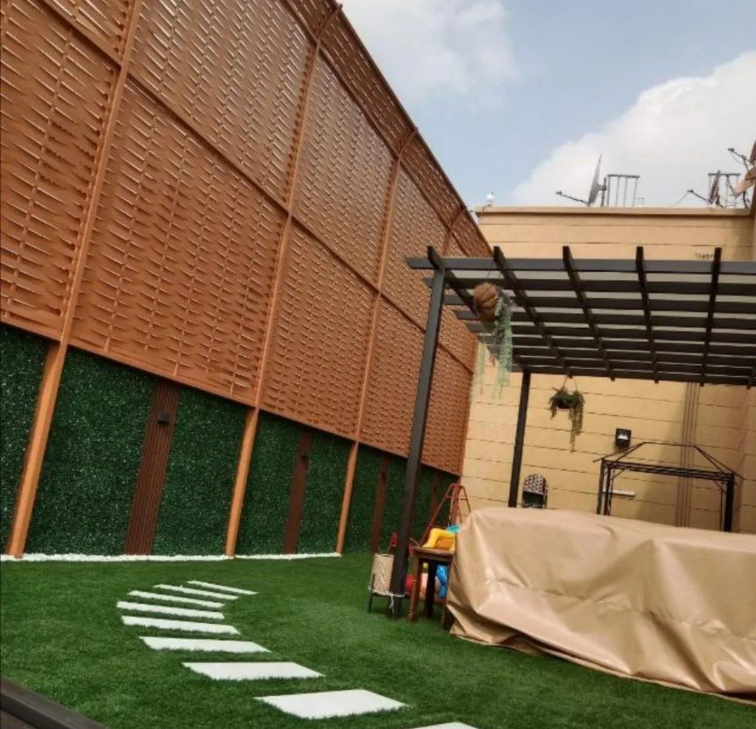 صورة المقال