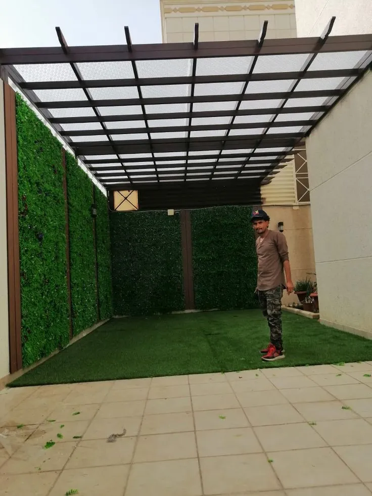 صورة المقال